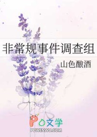 非常规事件调查组非常规事件调查组